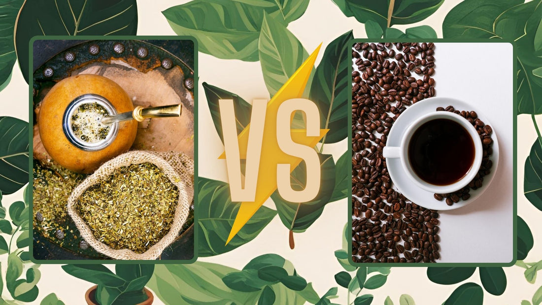 ⚡️ Maté vs Café ⚡️: Qui sortira vainqueur ? 🏆